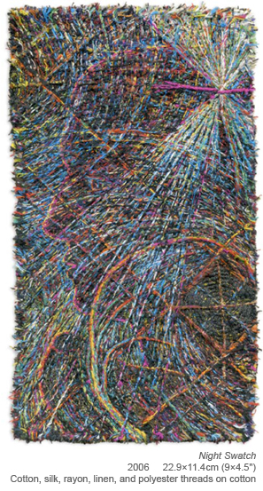 Night Swatch, 22.9x11.4cm (9x4.5"), cotton, silk, rayon, linen and polyester threads on cotton, 2006 night_swatch